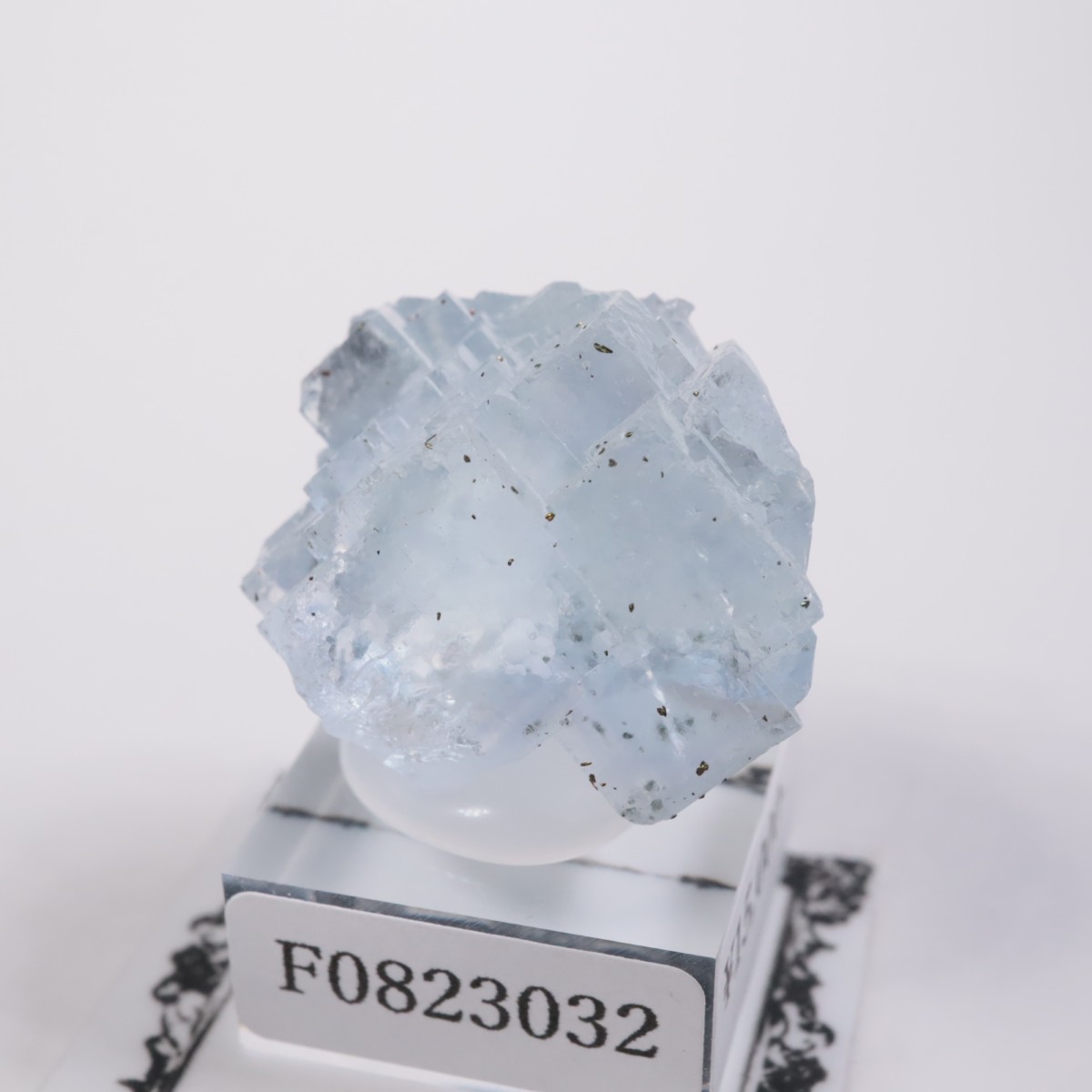 ���ڥ��� �ե����饤��