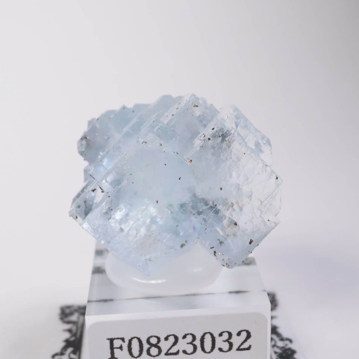 ���ڥ��� �ե����饤��