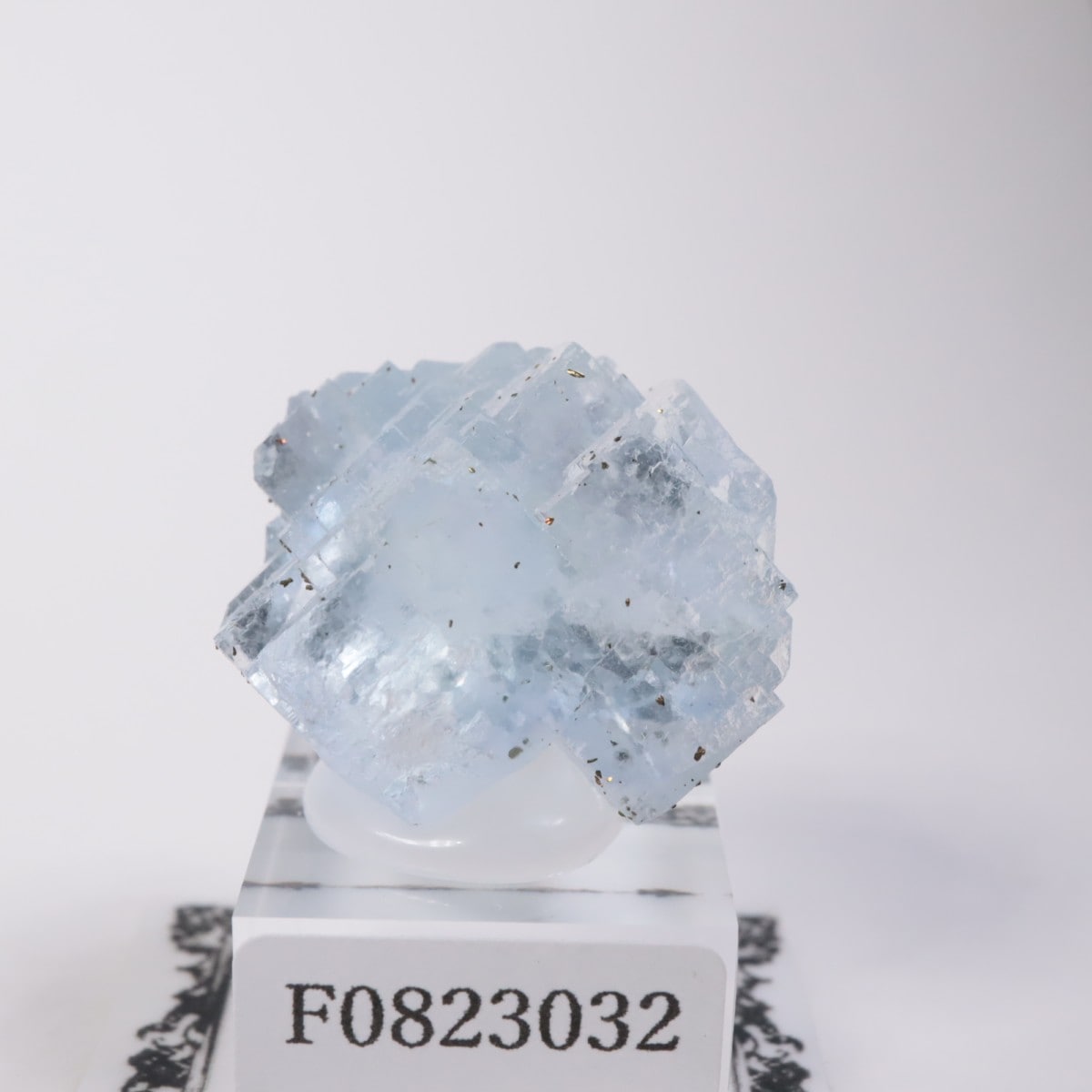 ���ڥ��� �ե����饤��