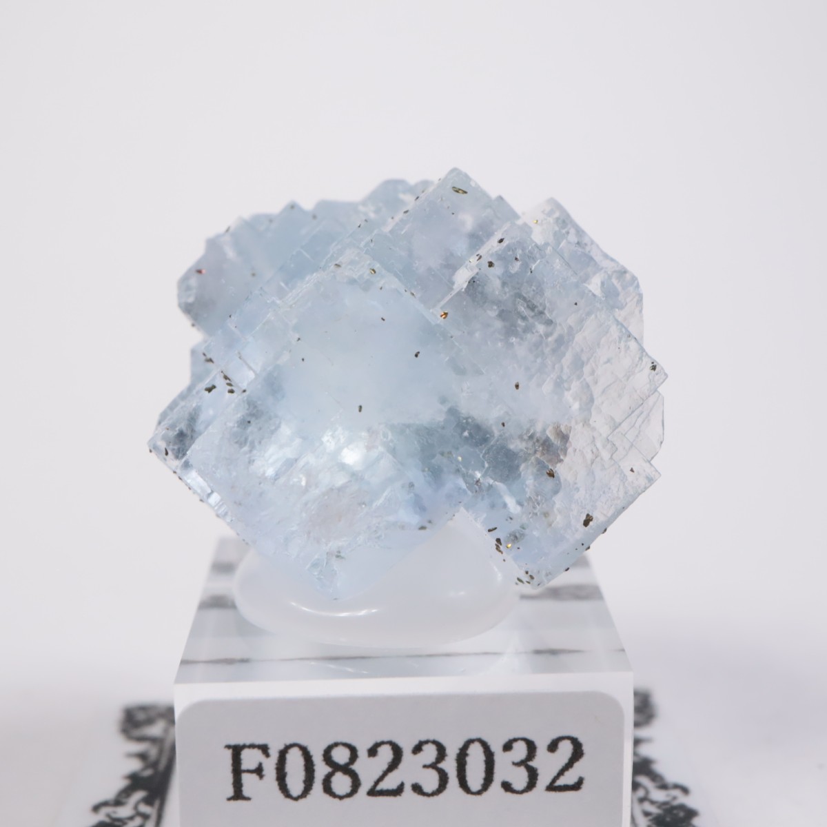 ���ڥ��� �ե����饤��