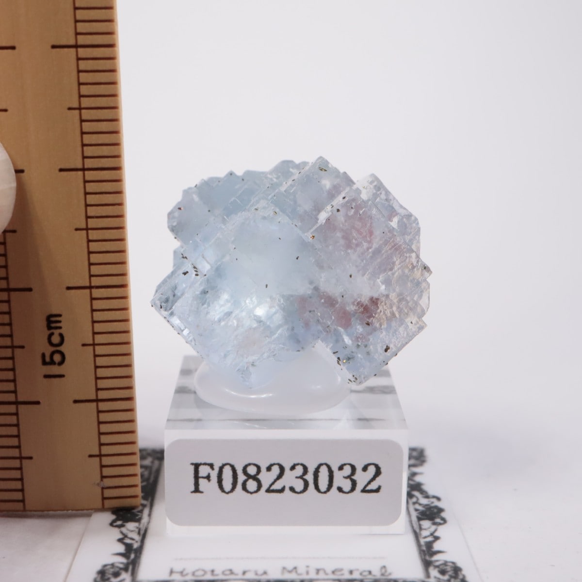 ���ڥ��� �ե����饤��