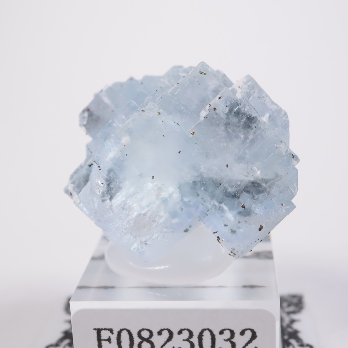 ���ڥ��� �ե����饤��