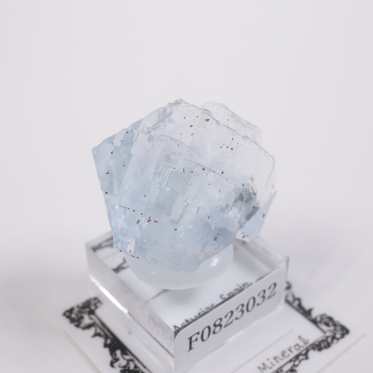 ���ڥ��� �ե����饤��