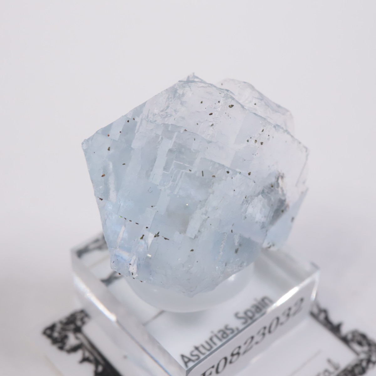 ���ڥ��� �ե����饤��