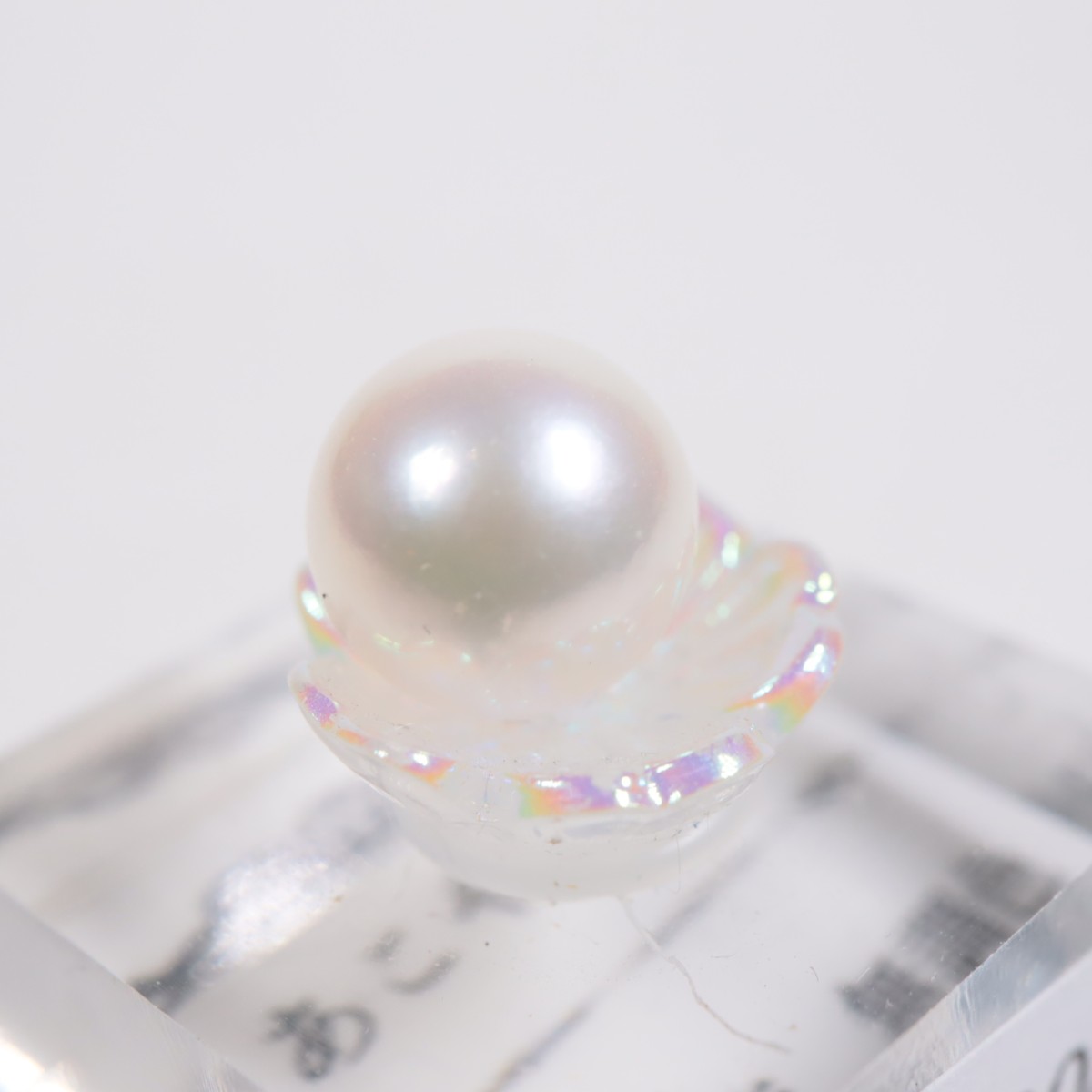 �����绺 ���ꤢ���俿���̵Ĵ����