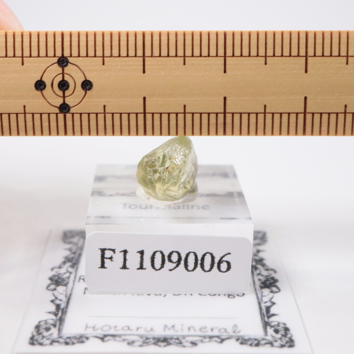 ���󥴻� �ȥ�ޥ��