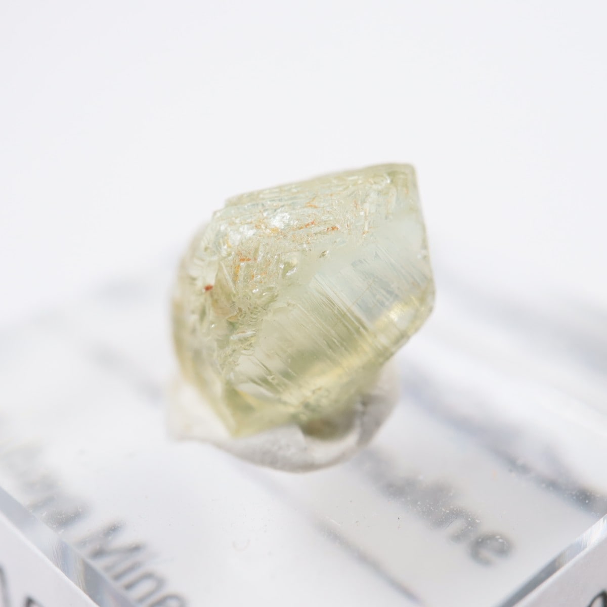 ���󥴻� �ȥ�ޥ��