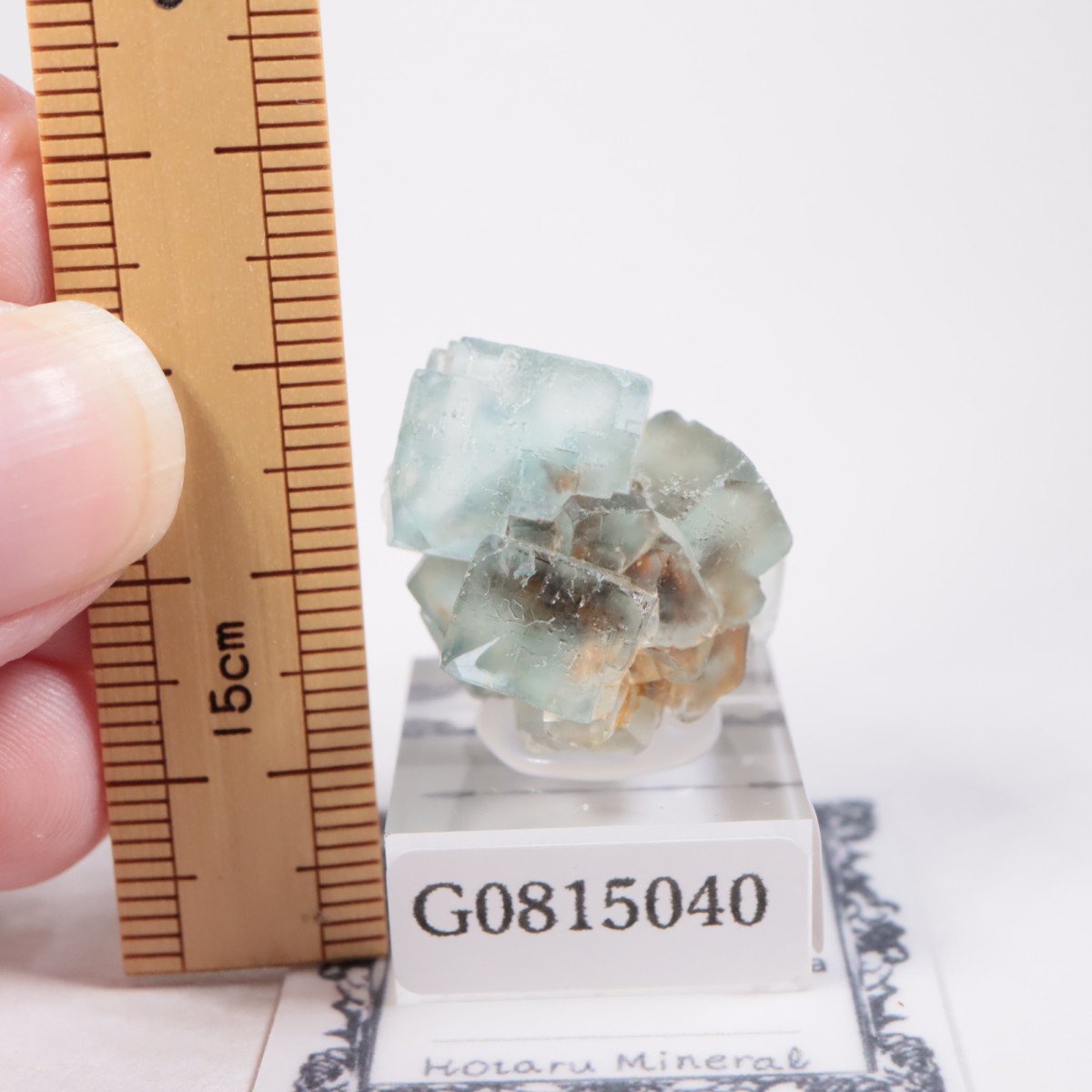 �����륹�ۻ������ե����饤��