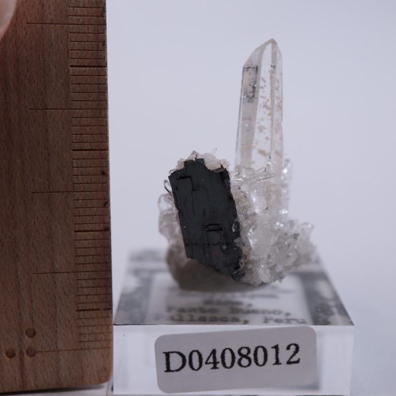 ペルー産 水晶withマンガン重石 | 鉱物標本,カ行,クォーツ/水晶