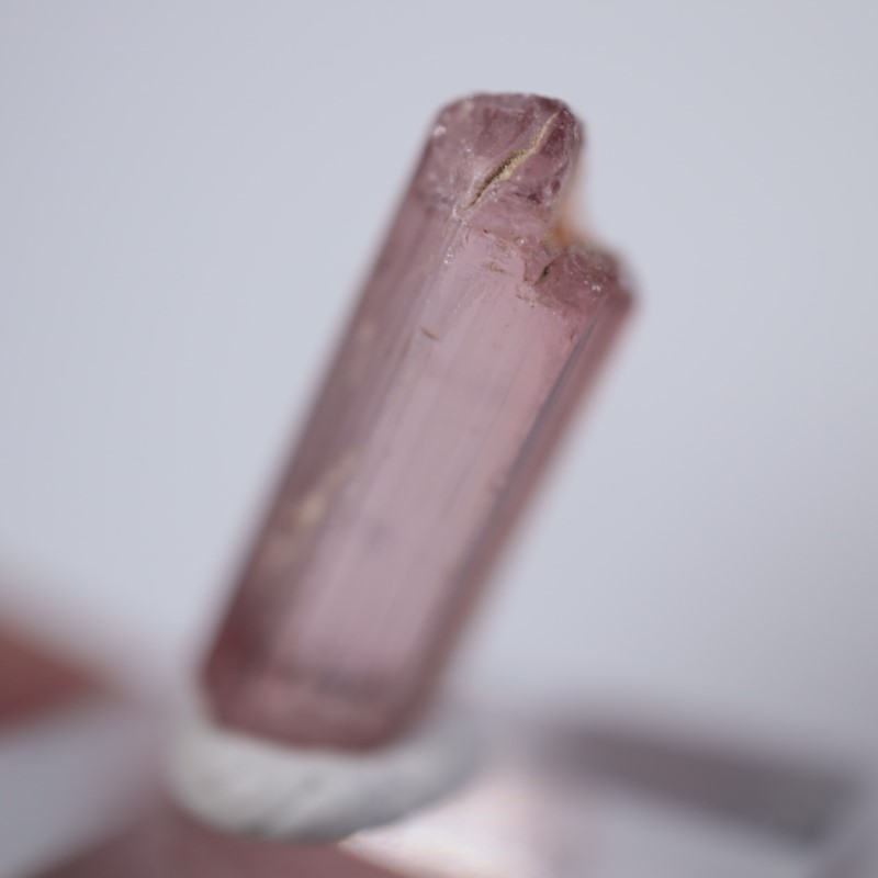 ���󥴻����ȥ�ޥ��