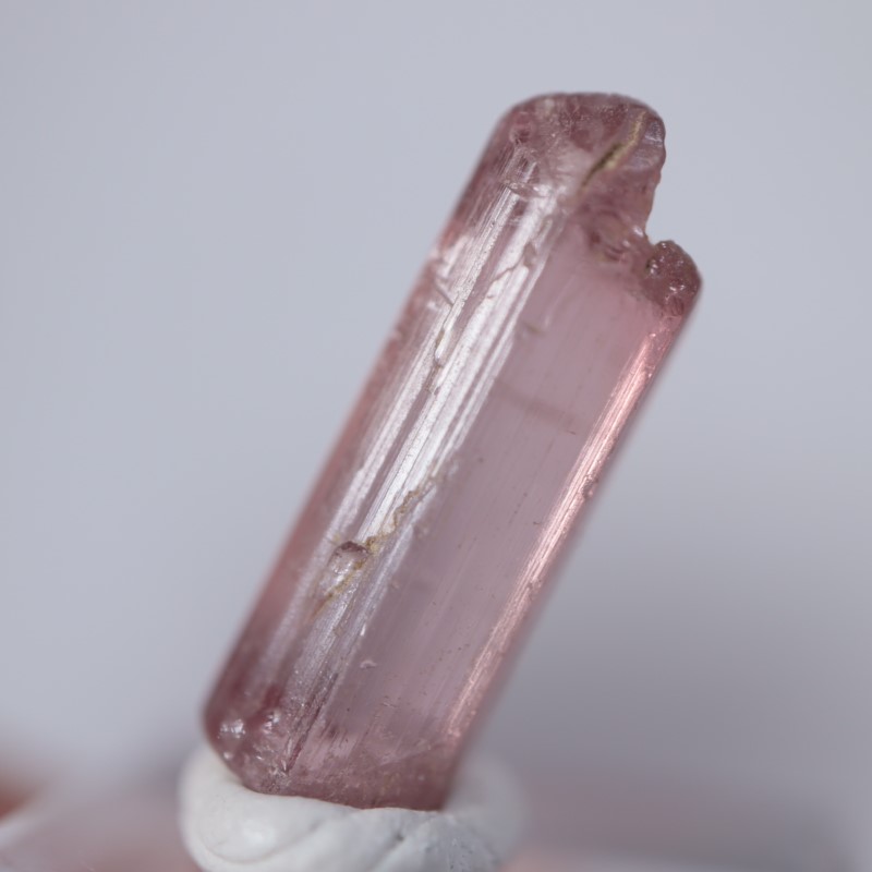 ���󥴻����ȥ�ޥ��