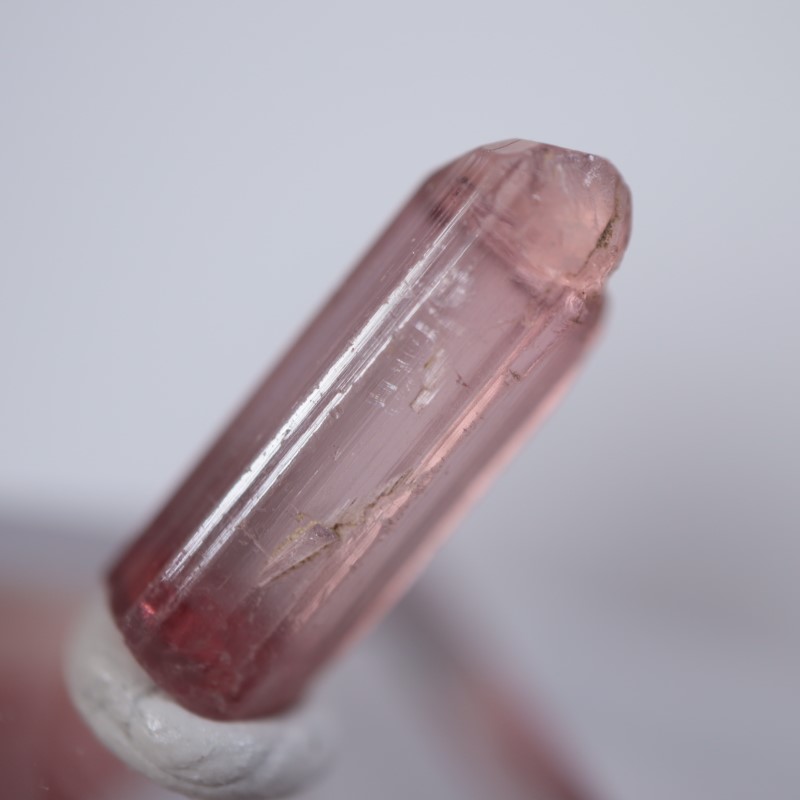 ���󥴻����ȥ�ޥ��