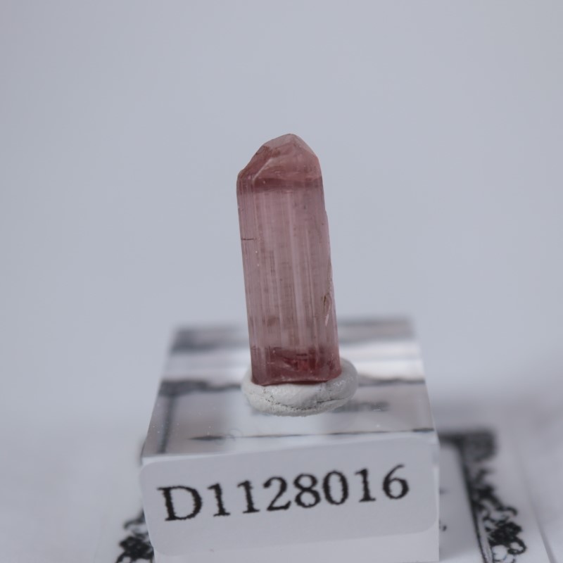 ���󥴻����ȥ�ޥ��