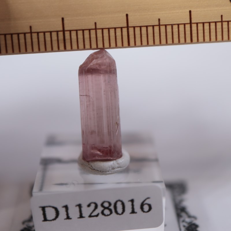 ���󥴻����ȥ�ޥ��