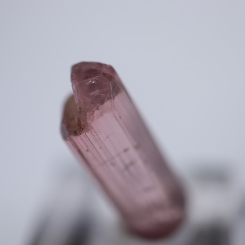 ���󥴻����ȥ�ޥ��