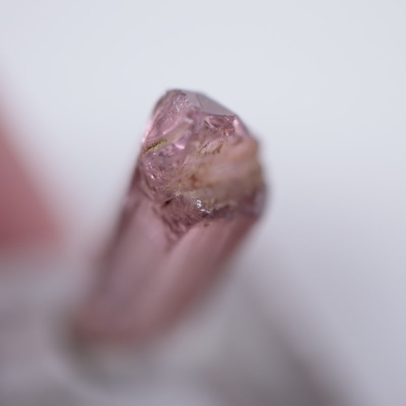 ���󥴻����ȥ�ޥ��