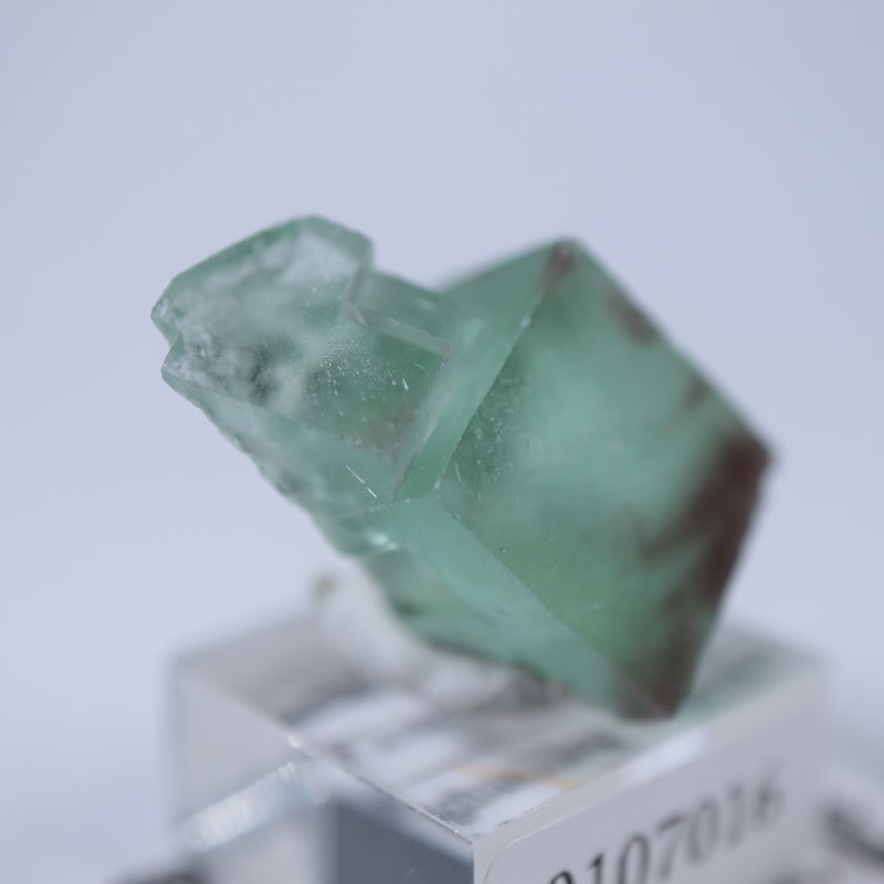 �����ե�����󻺡�����