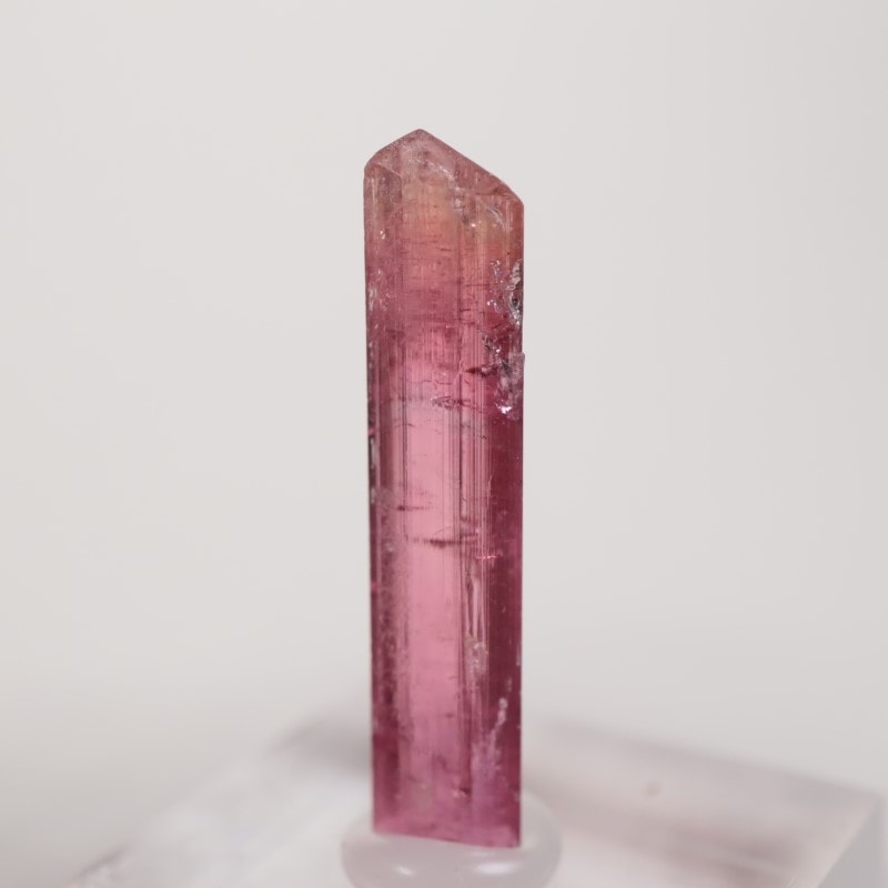 �֥饸�뻺 �ȥ�ޥ��