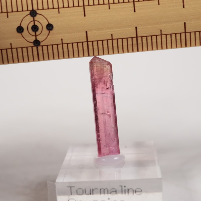 �֥饸�뻺 �ȥ�ޥ��