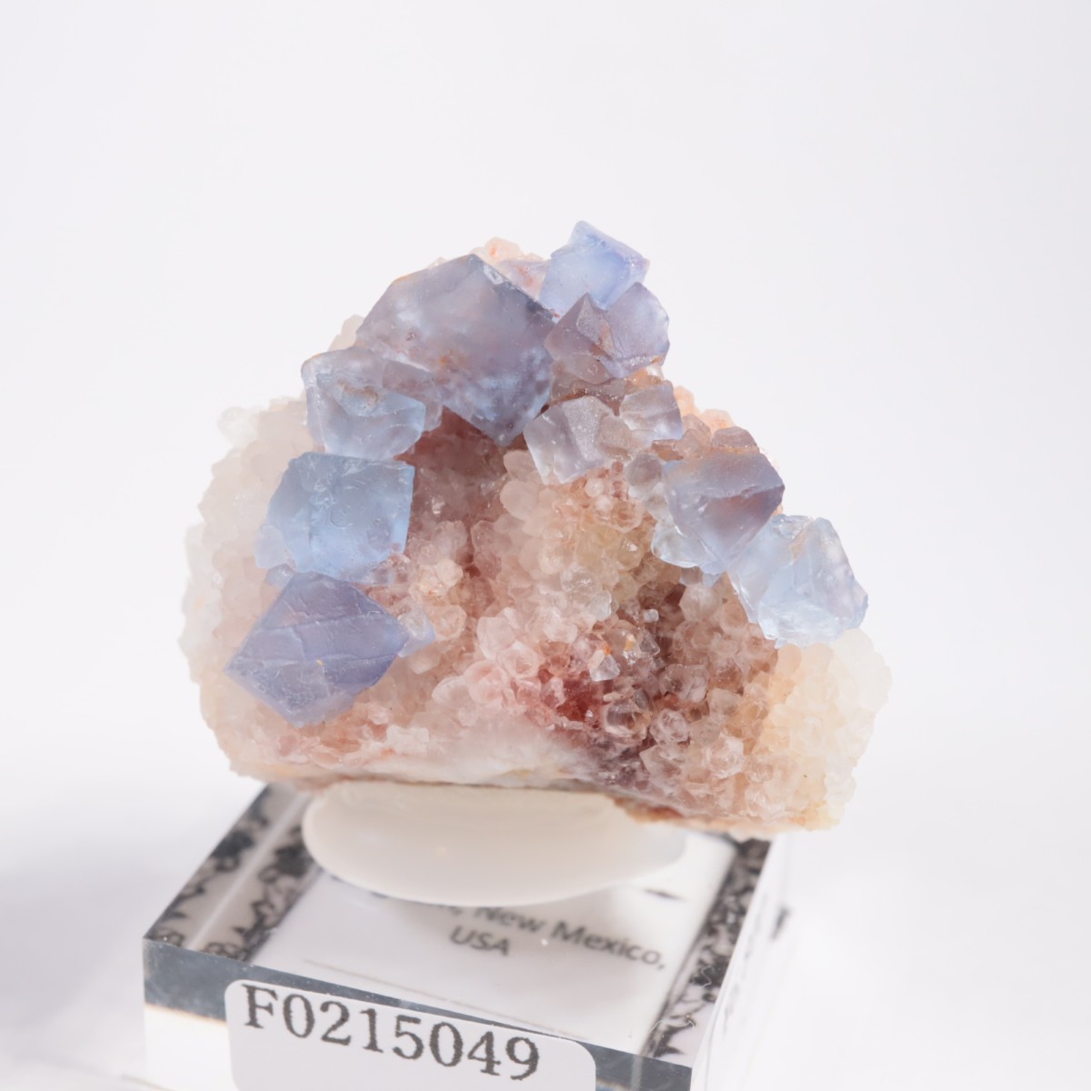 �˥塼�ᥭ�������� �ե����饤��