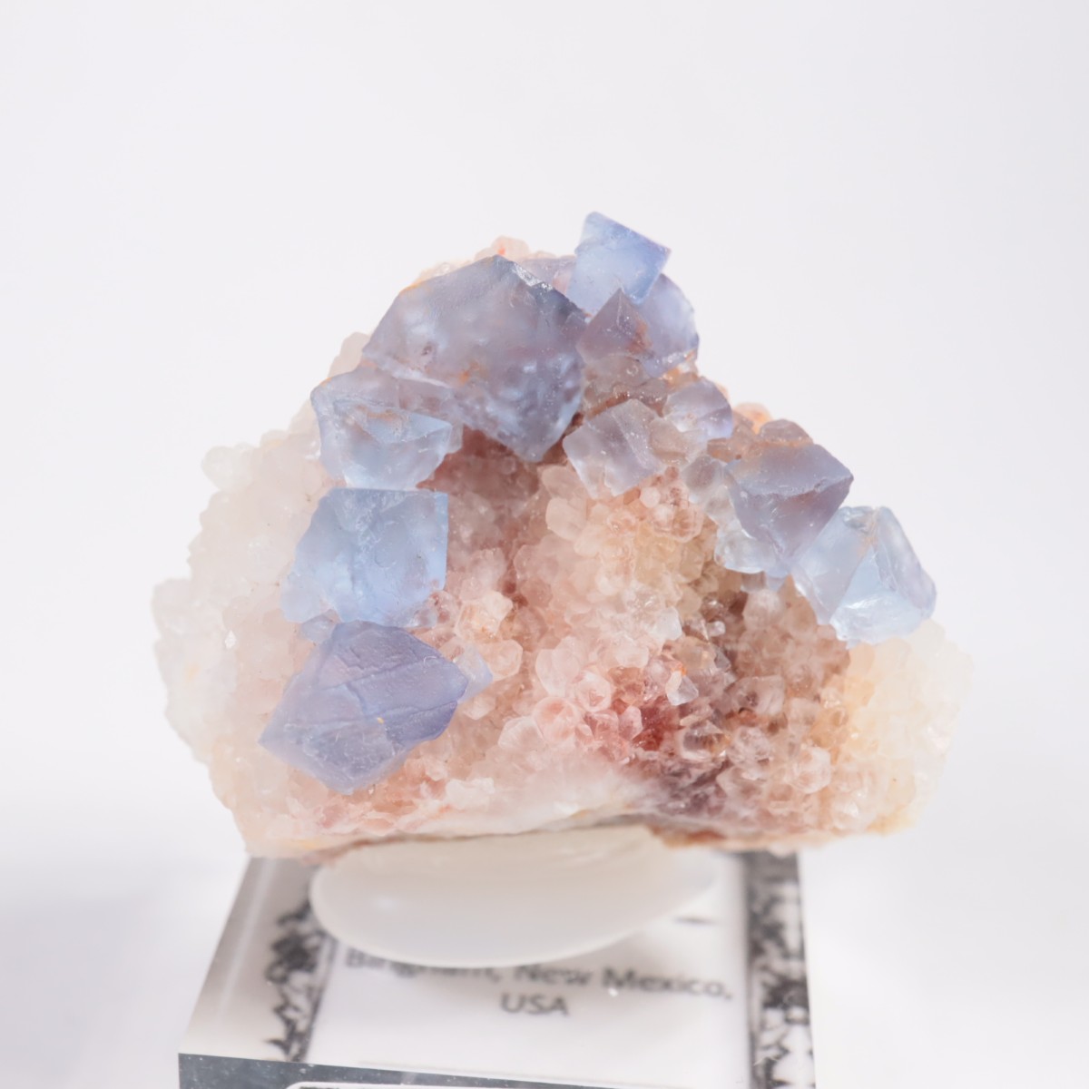 �˥塼�ᥭ�������� �ե����饤��