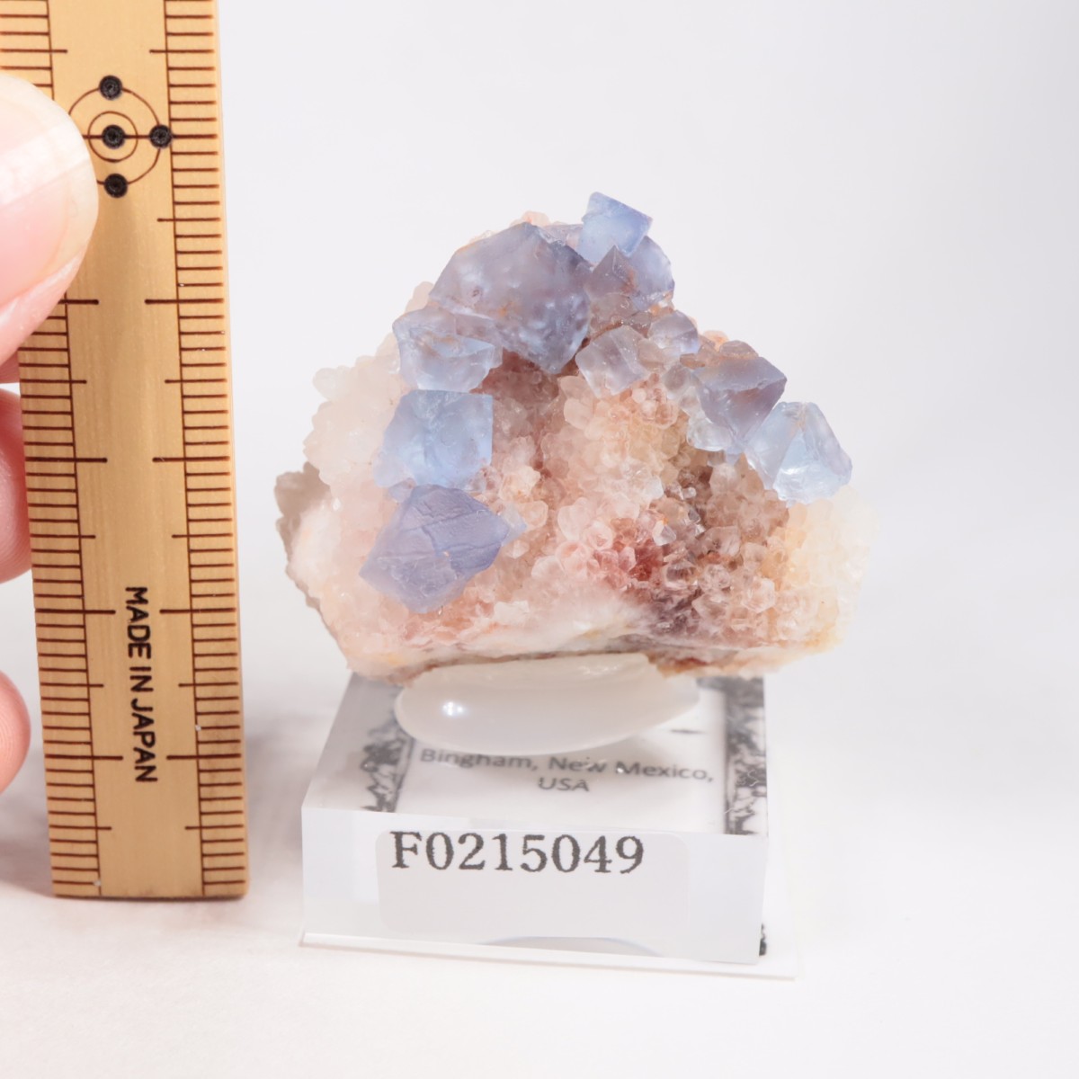 �˥塼�ᥭ�������� �ե����饤��