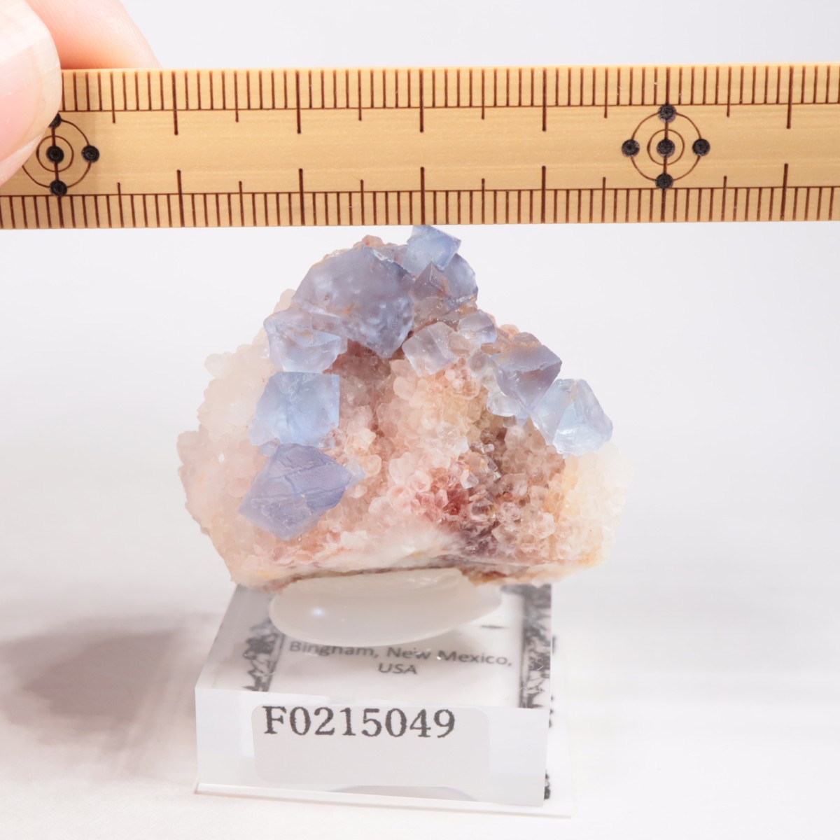 �˥塼�ᥭ�������� �ե����饤��