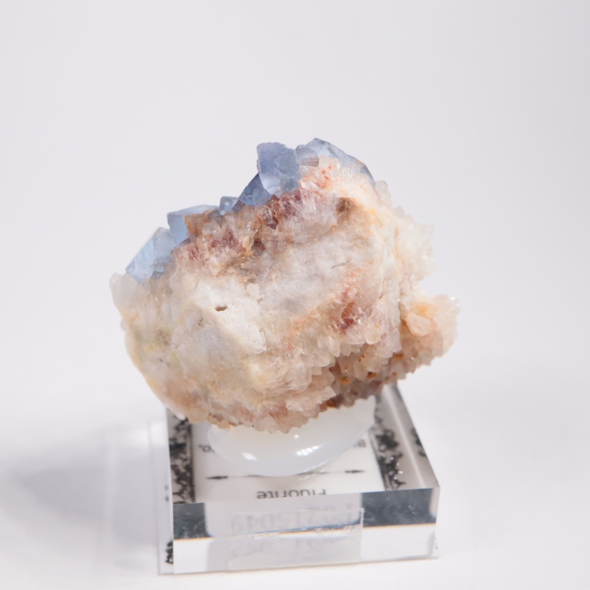 �˥塼�ᥭ�������� �ե����饤��