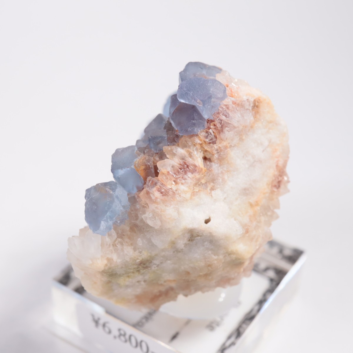 �˥塼�ᥭ�������� �ե����饤��