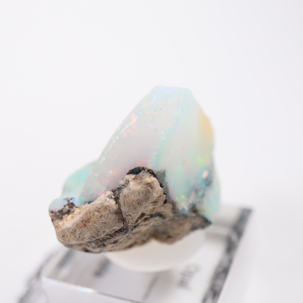 �������ԥ��� ���ѡ���