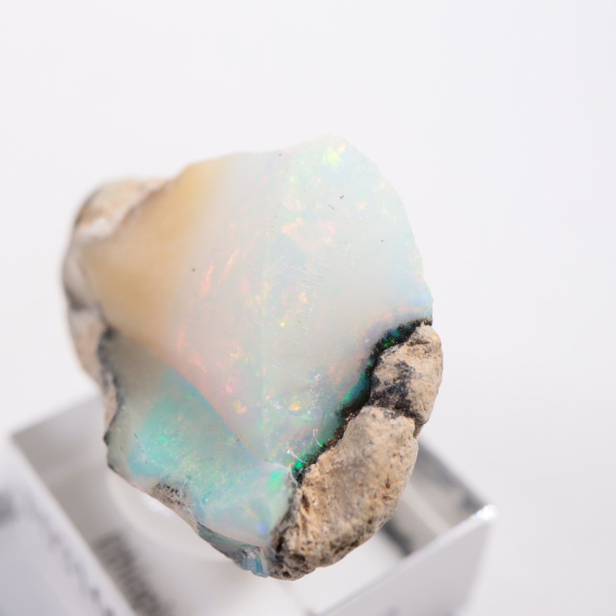 �������ԥ��� ���ѡ���