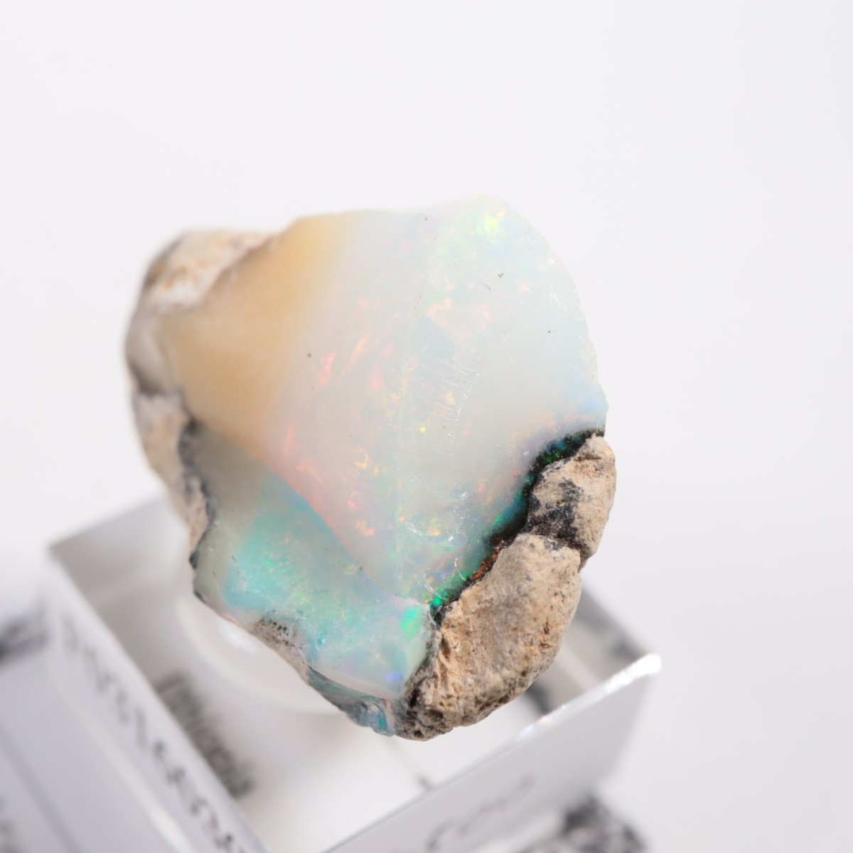 �������ԥ��� ���ѡ���