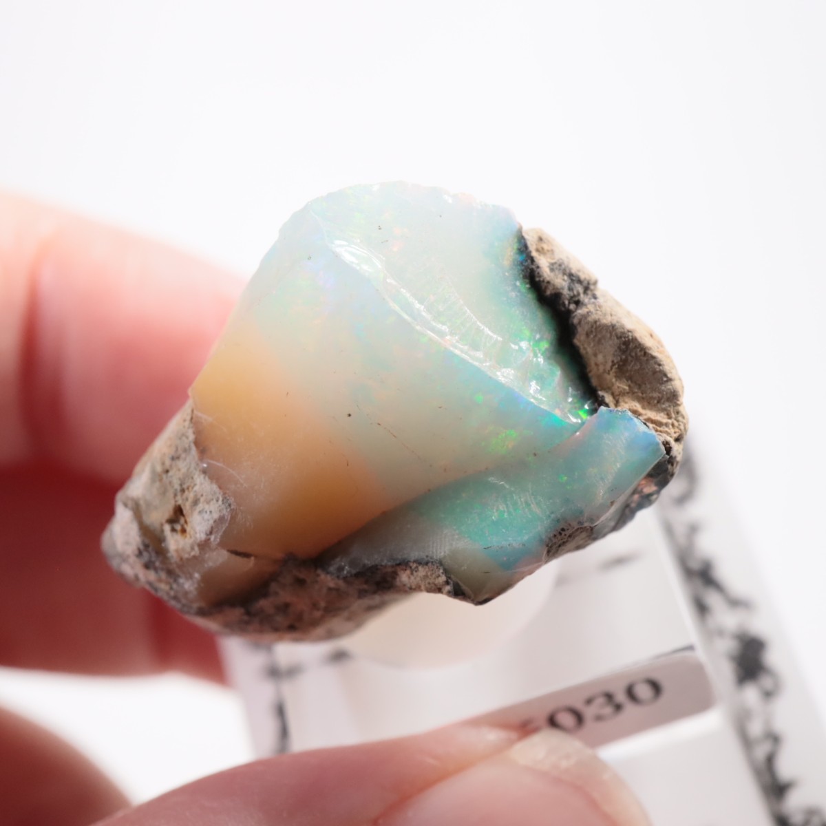 �������ԥ��� ���ѡ���