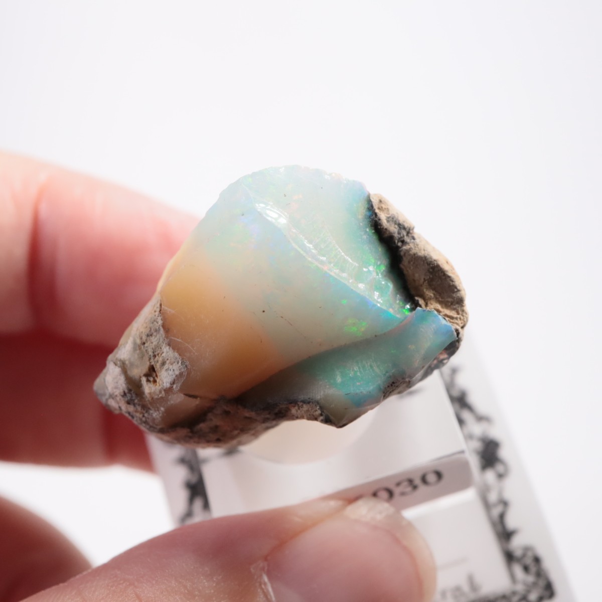 �������ԥ��� ���ѡ���