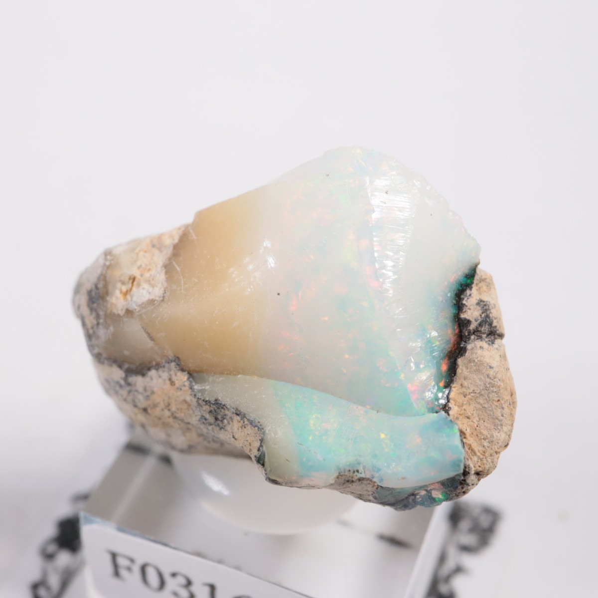 �������ԥ��� ���ѡ���