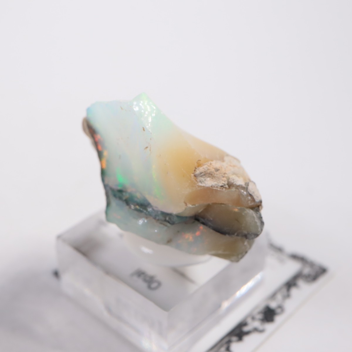 �������ԥ��� ���ѡ���