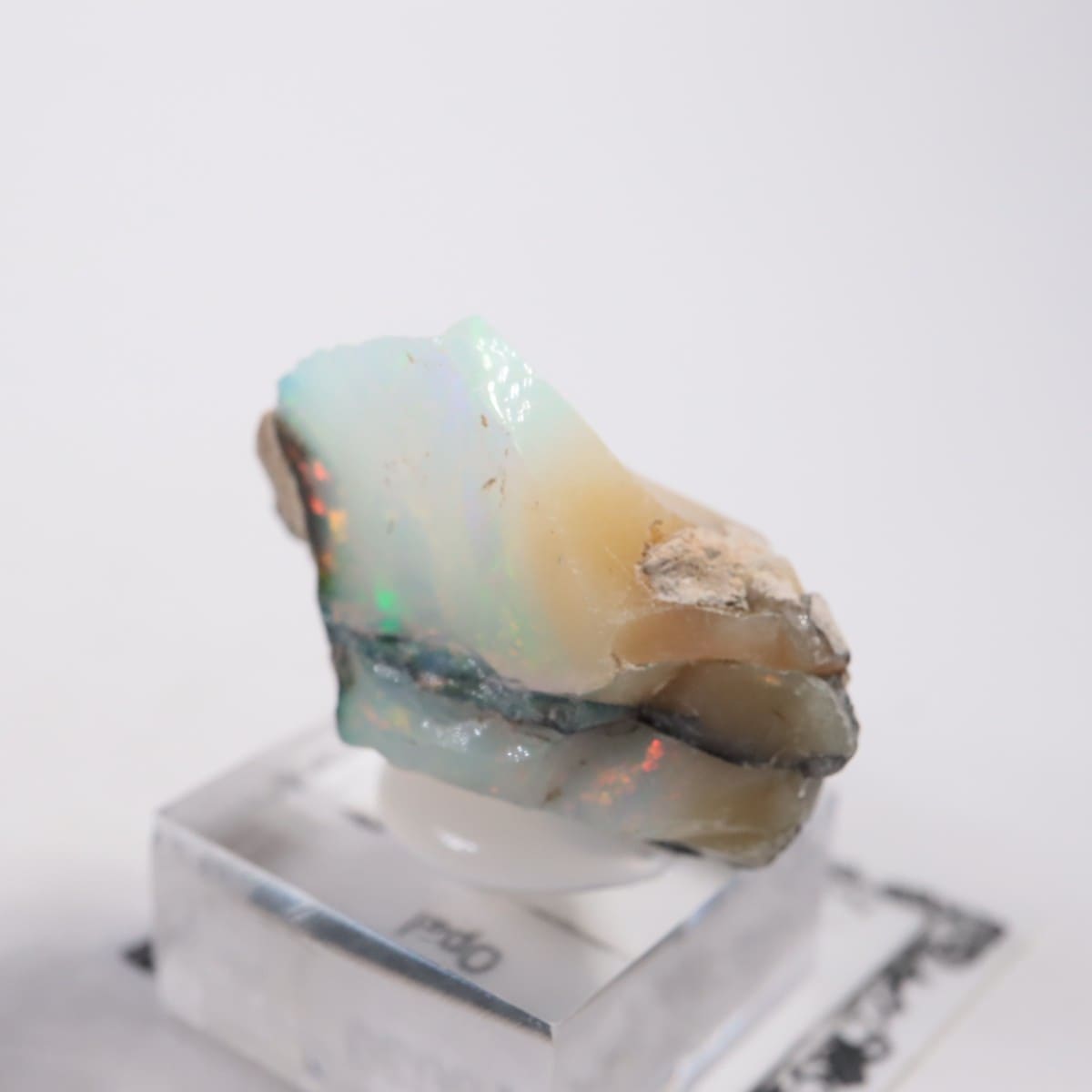 �������ԥ��� ���ѡ���