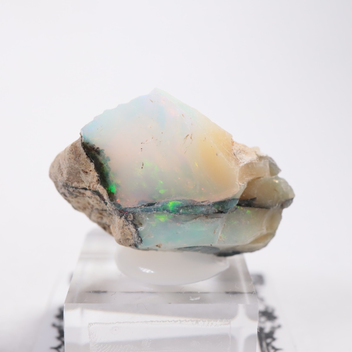 �������ԥ��� ���ѡ���