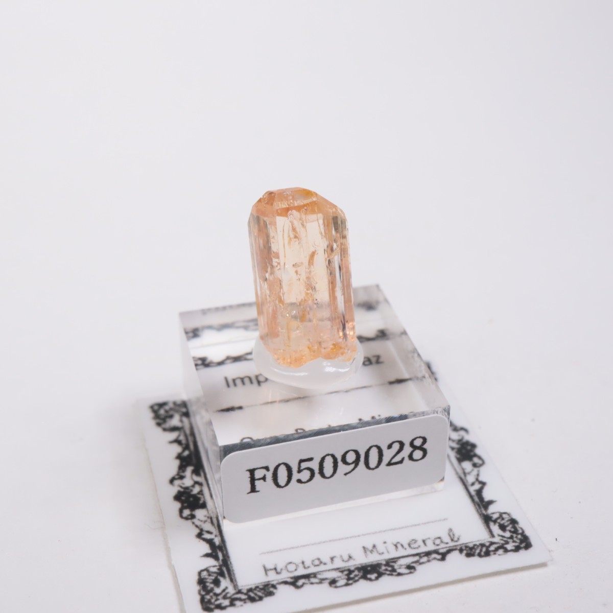 Ouro Preto�� ����ڥꥢ��ȥѡ���