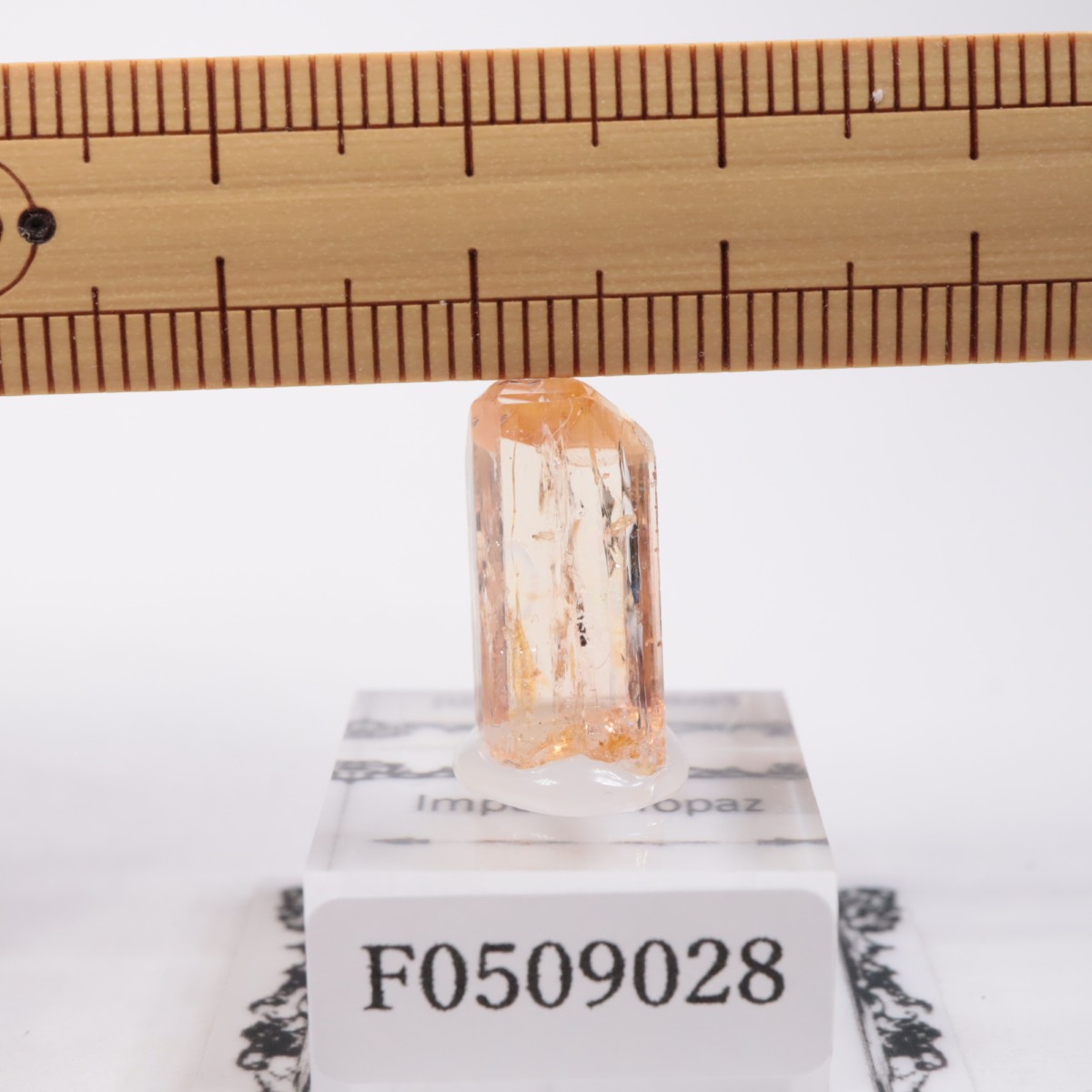 Ouro Preto�� ����ڥꥢ��ȥѡ���