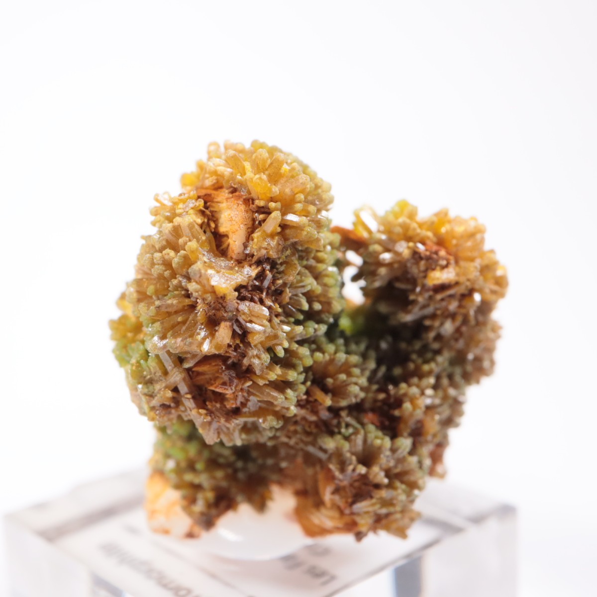 フランス産 パイロモルファイト（緑鉛鉱） | 鉱物標本,ハ行,パイロモル