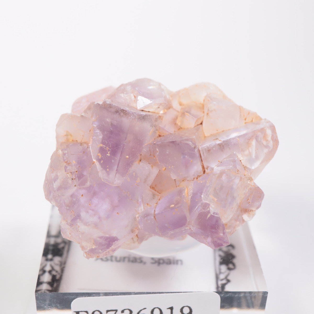 ���ڥ��� �ե����饤��