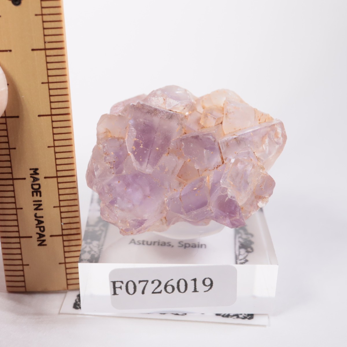 ���ڥ��� �ե����饤��