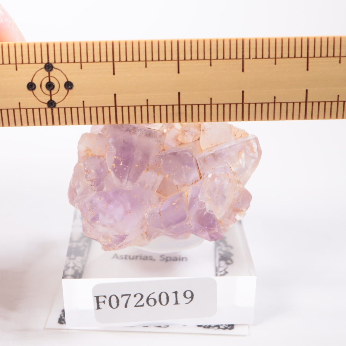 ���ڥ��� �ե����饤��