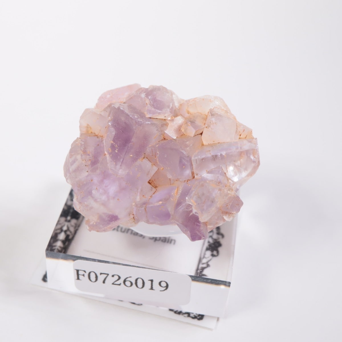 ���ڥ��� �ե����饤��