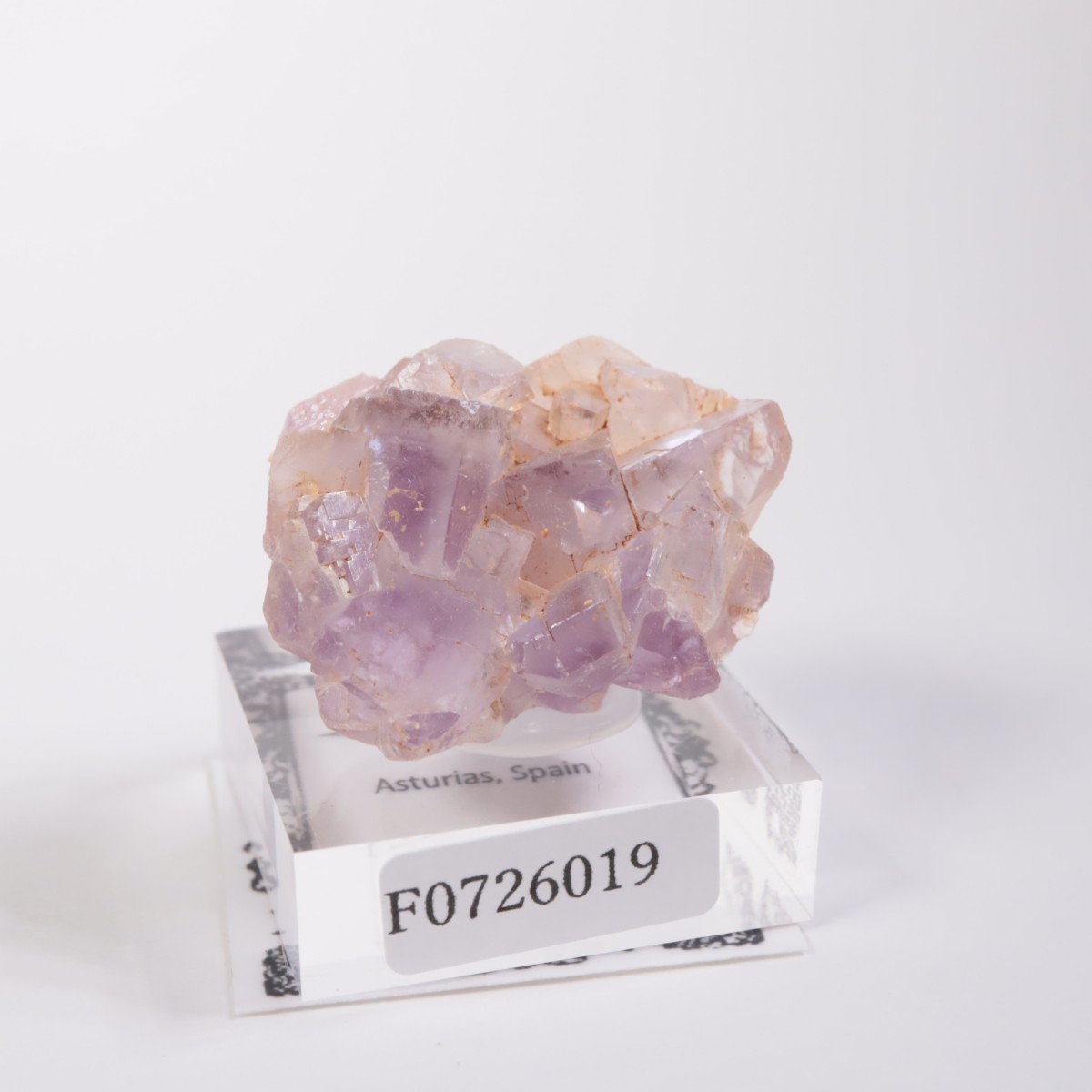 ���ڥ��� �ե����饤��