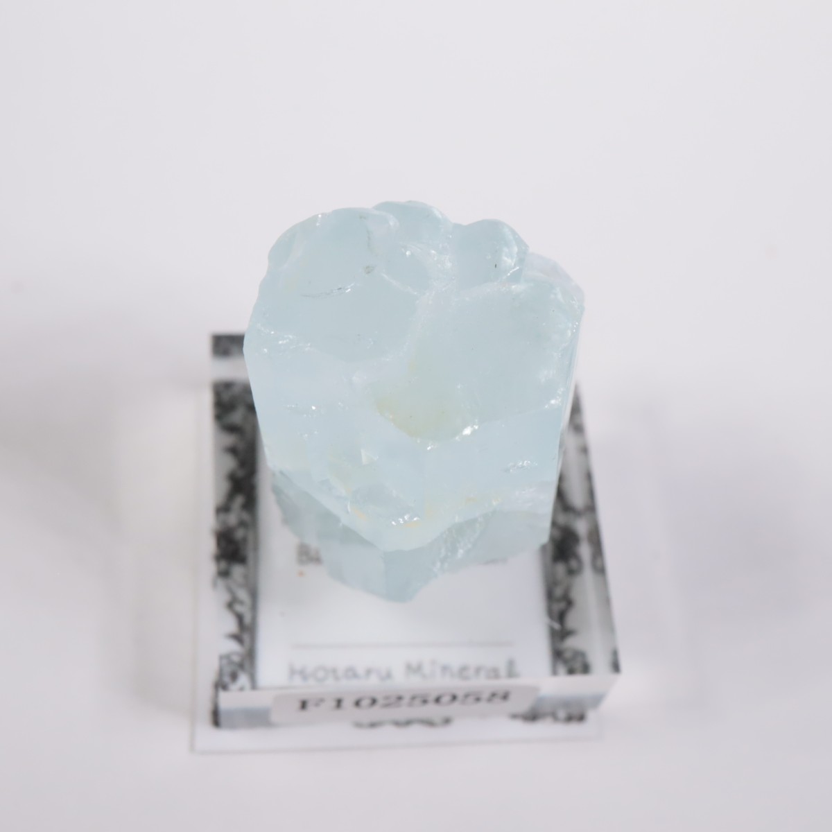 �ѥ������� �������ޥ��