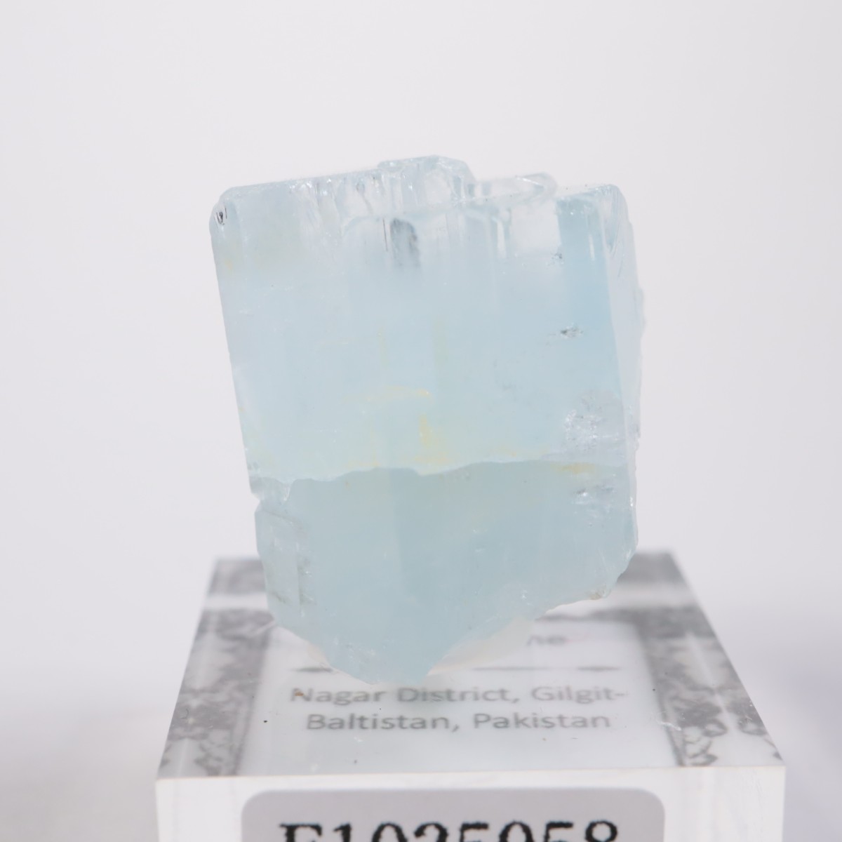 �ѥ������� �������ޥ��