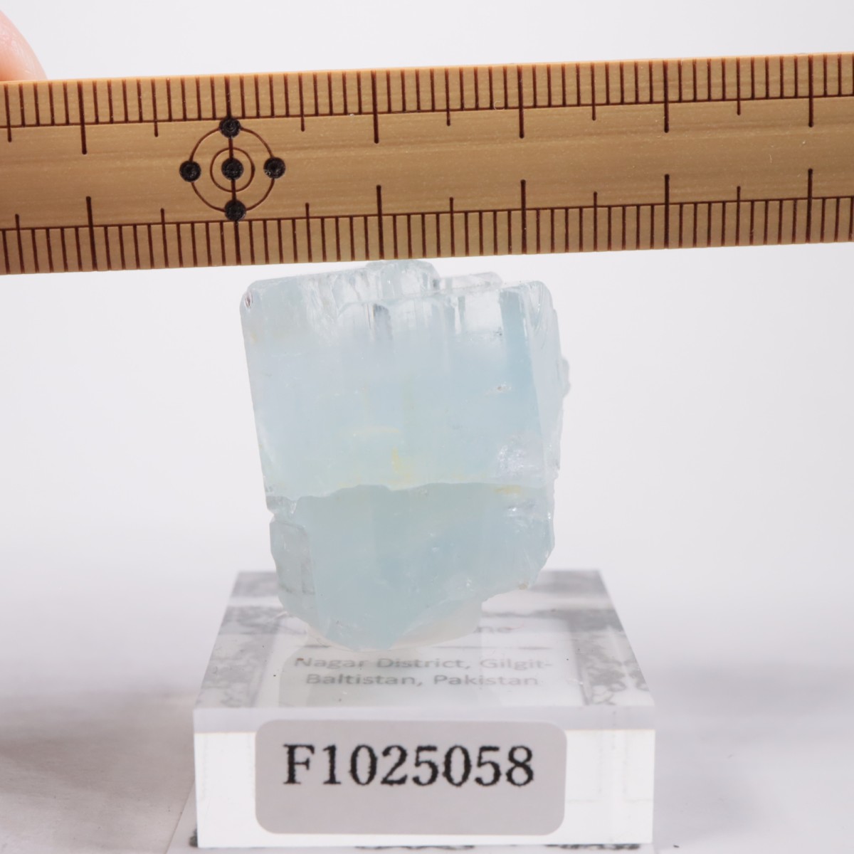 �ѥ������� �������ޥ��