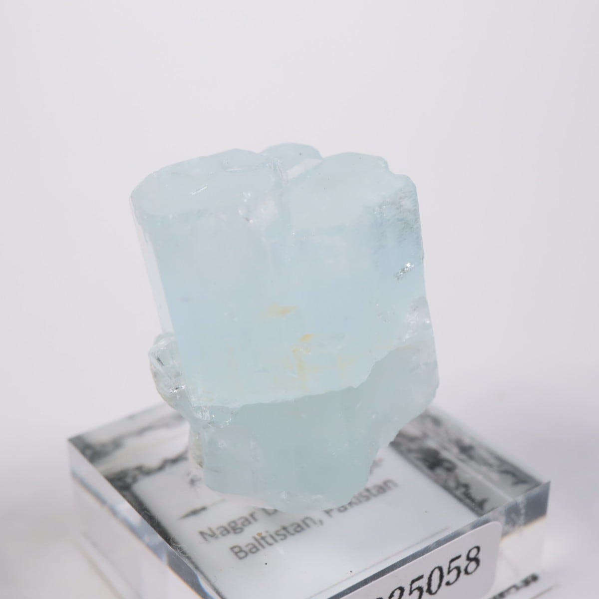 �ѥ������� �������ޥ��